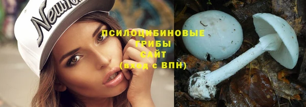 мескалин Гусев