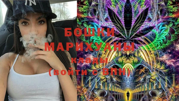 PSILOCYBIN Гусь-Хрустальный