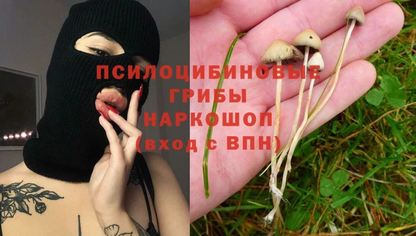мескалин Гусев